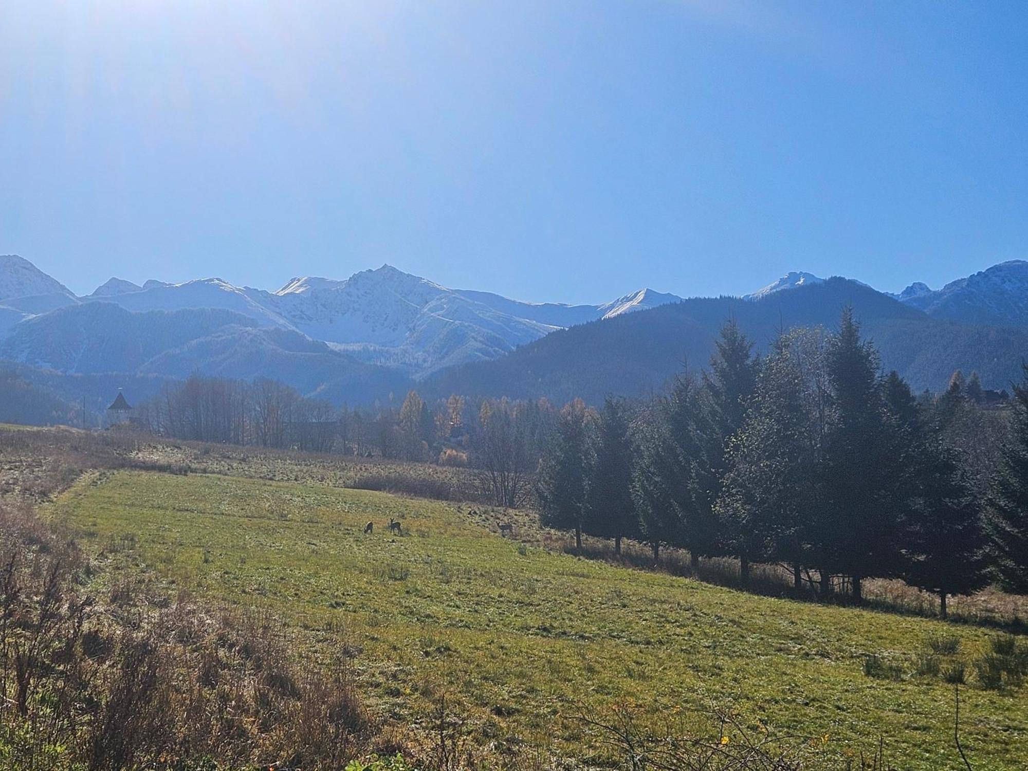 Apartamenty Bachledzki Wierch, Zakopane